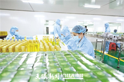 貴州油茶: 精深加工突圍 帶動全產(chǎn)業(yè)鏈升級