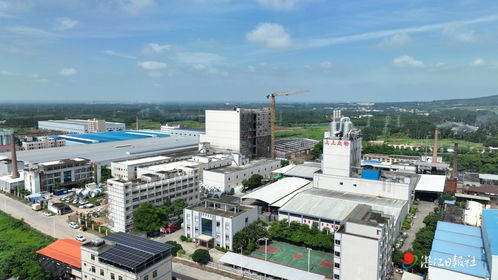 遂溪縣多措并舉推進產業升級與傳統保護融合發展