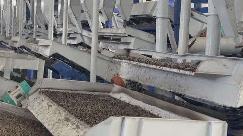 塔城地區生物科技產業助力外貿迎來廣闊發展機遇