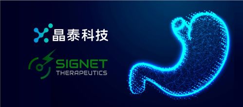 晶泰科技攜手希格生科，推動(dòng)彌漫性胃癌項(xiàng)目獲重大進(jìn)展