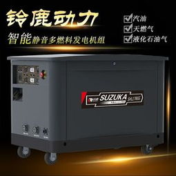 燃?xì)獍l(fā)電機(jī)組 高效清潔的能源動(dòng)力新選擇